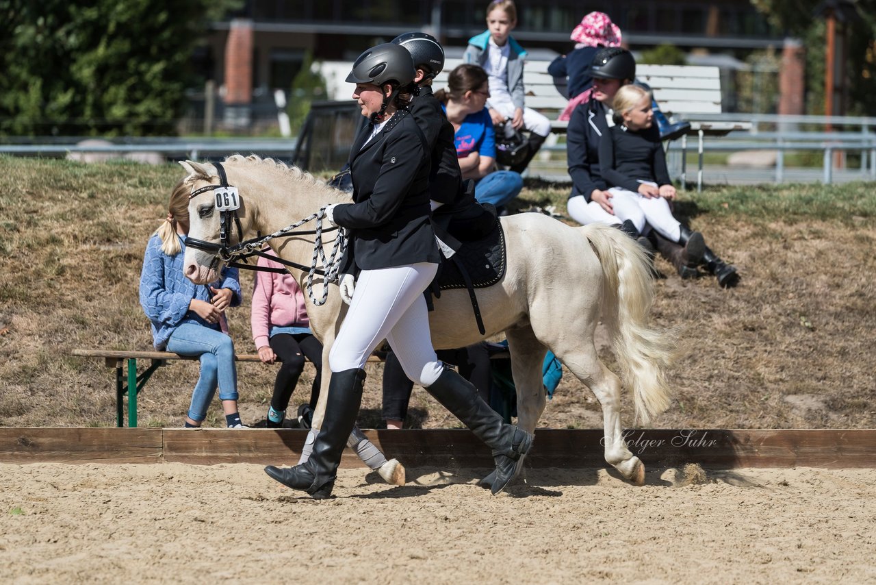 Bild 37 - Pony Akademie Turnier